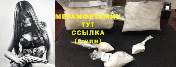 стаф Гатчина