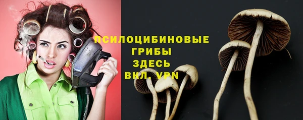 прущая мука Навашино