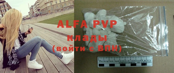 хмурый Михайловск