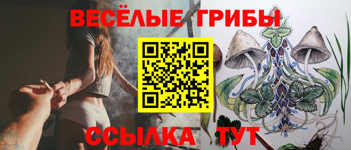 Галлюциногенные грибы мухоморы Кимовск